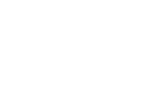 Pavis logo